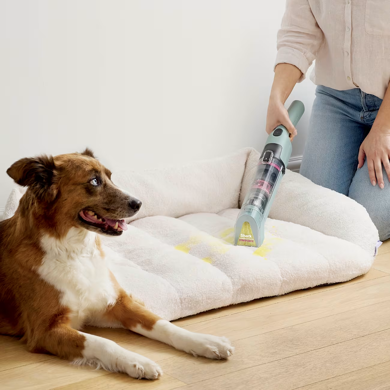 Professional Cordless Portable Stain and Odor Remover for Carpet and Upholstery