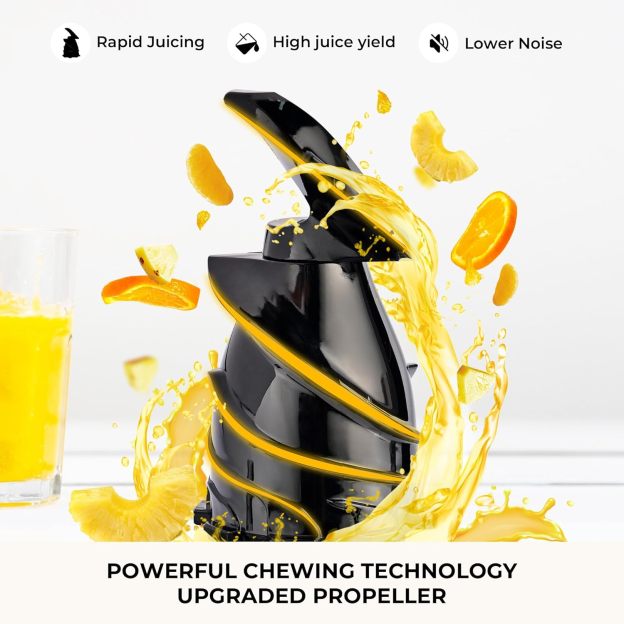 💥💥Final Day! Enjoy 50% OFF 💥- Cold Press Juicer