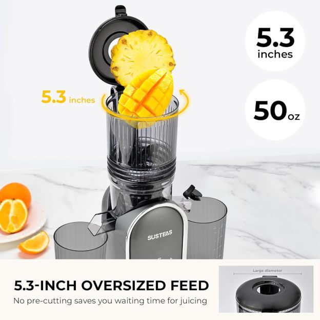 💥💥Final Day! Enjoy 50% OFF 💥- Cold Press Juicer