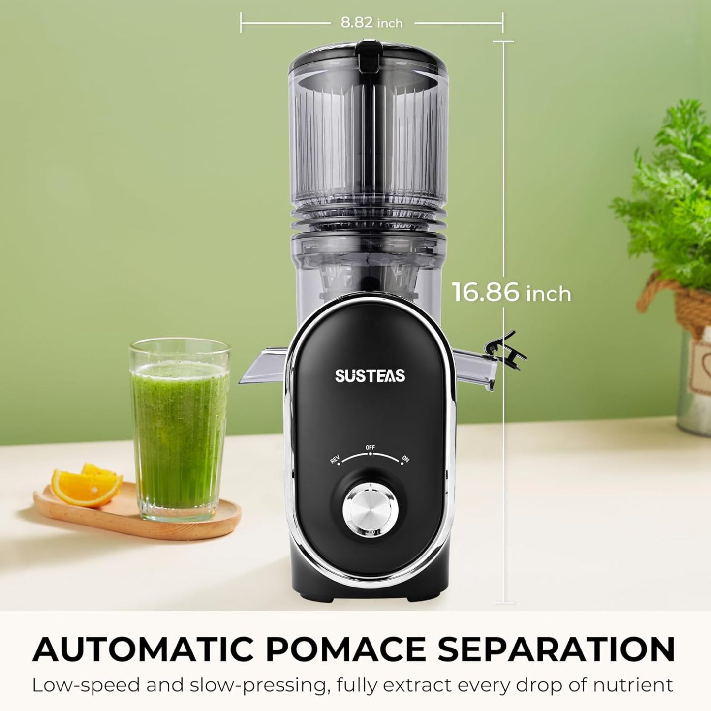 💥💥Final Day! Enjoy 50% OFF 💥- Cold Press Juicer