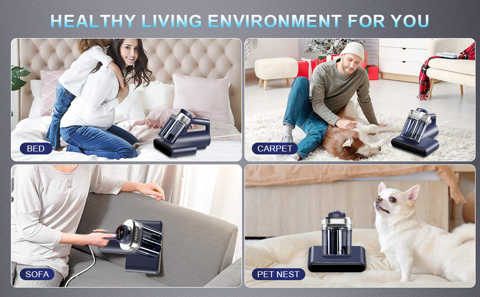 Healthy Living Environment Gift