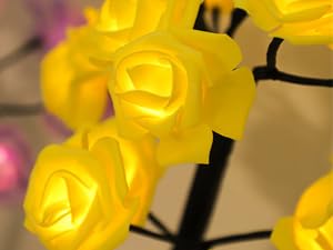 flower lamps