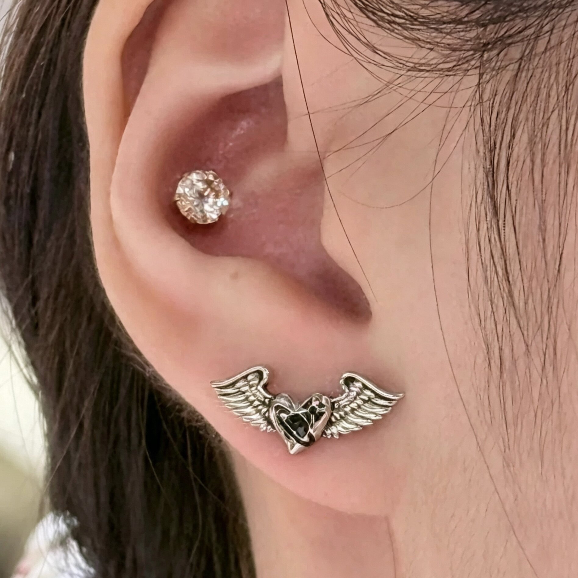 2 Colors Herbert Earrings