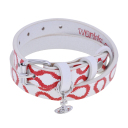 Pirate Pattern Red Silver