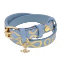 Pirate Pattern Blue Gold