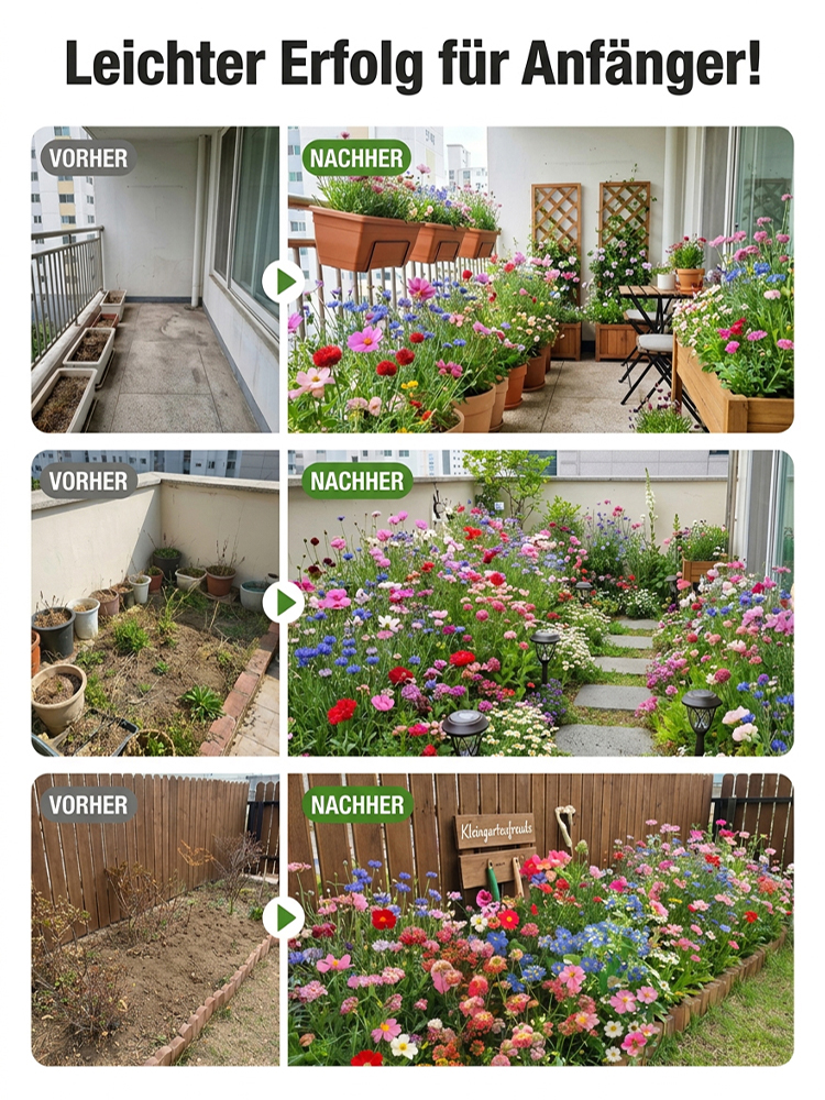 【Über 240.000 Mal gekauft】Einfach zu züchtende gemischte Blumensamen