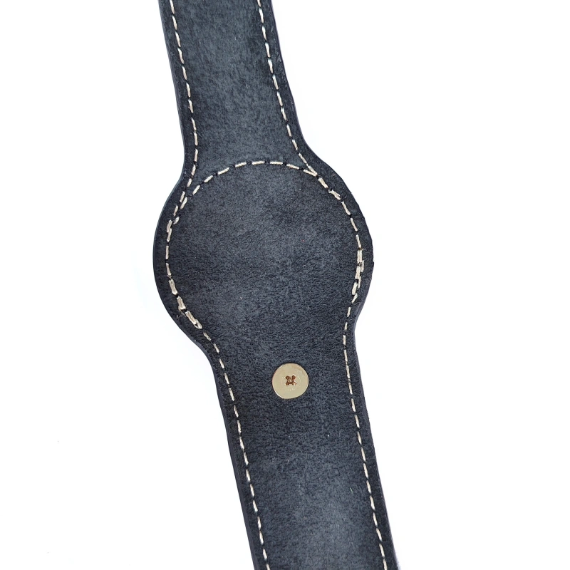 Leather AirTag Dog Collar | Wide Pet Collar with AirTag Holder