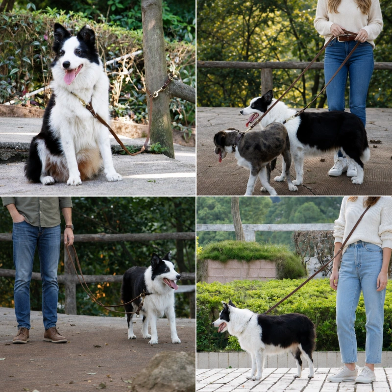 Multi-Function Genuine Leather Dog Leash for Hands-Free Walking