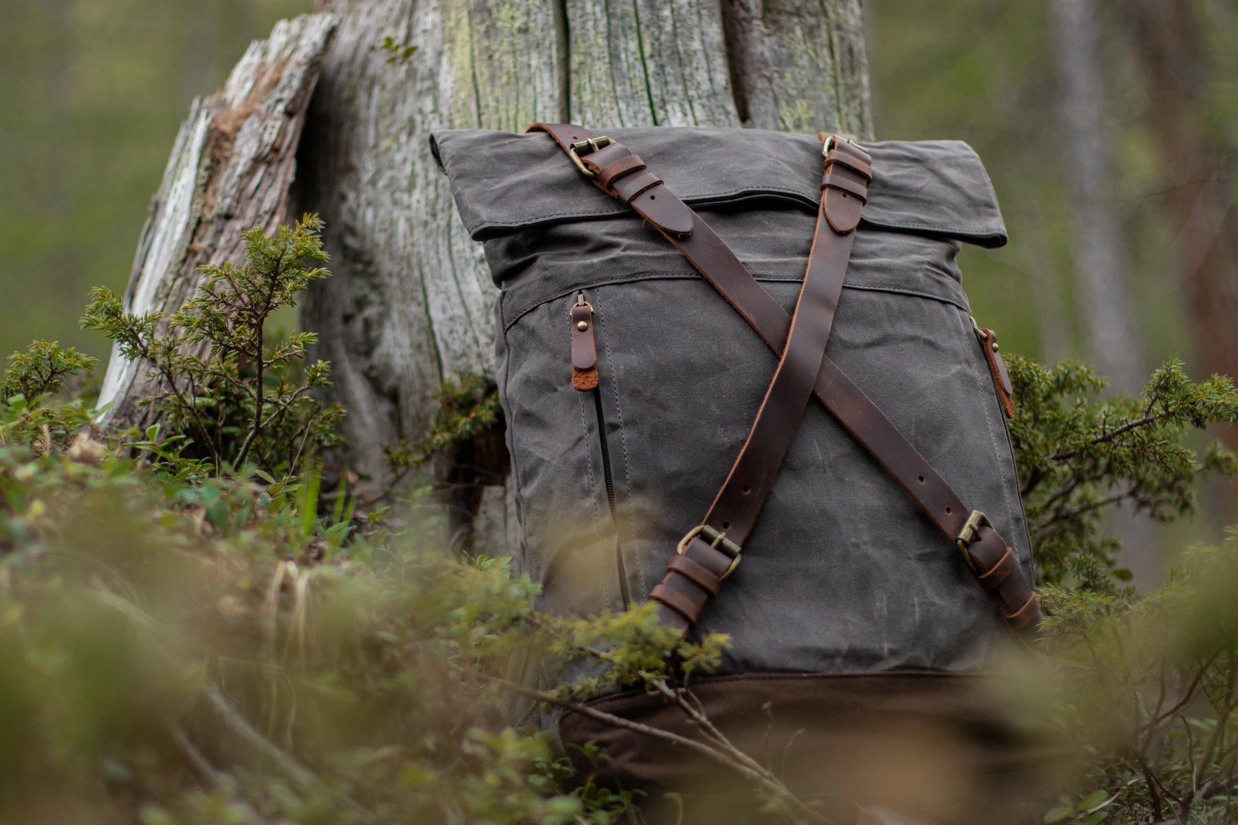 Dark grey Oslo waxed canvas rucksack standing in front of a weathered tree stump in a Nordic forest. criss-cross leather strap closure system in view