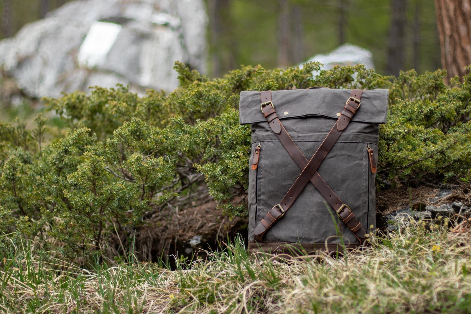 Side view of the dark grey Oslo canvas rucksack nestled in juniper brush in a Nordic forest. criss-cross leather strap closure visible in profile