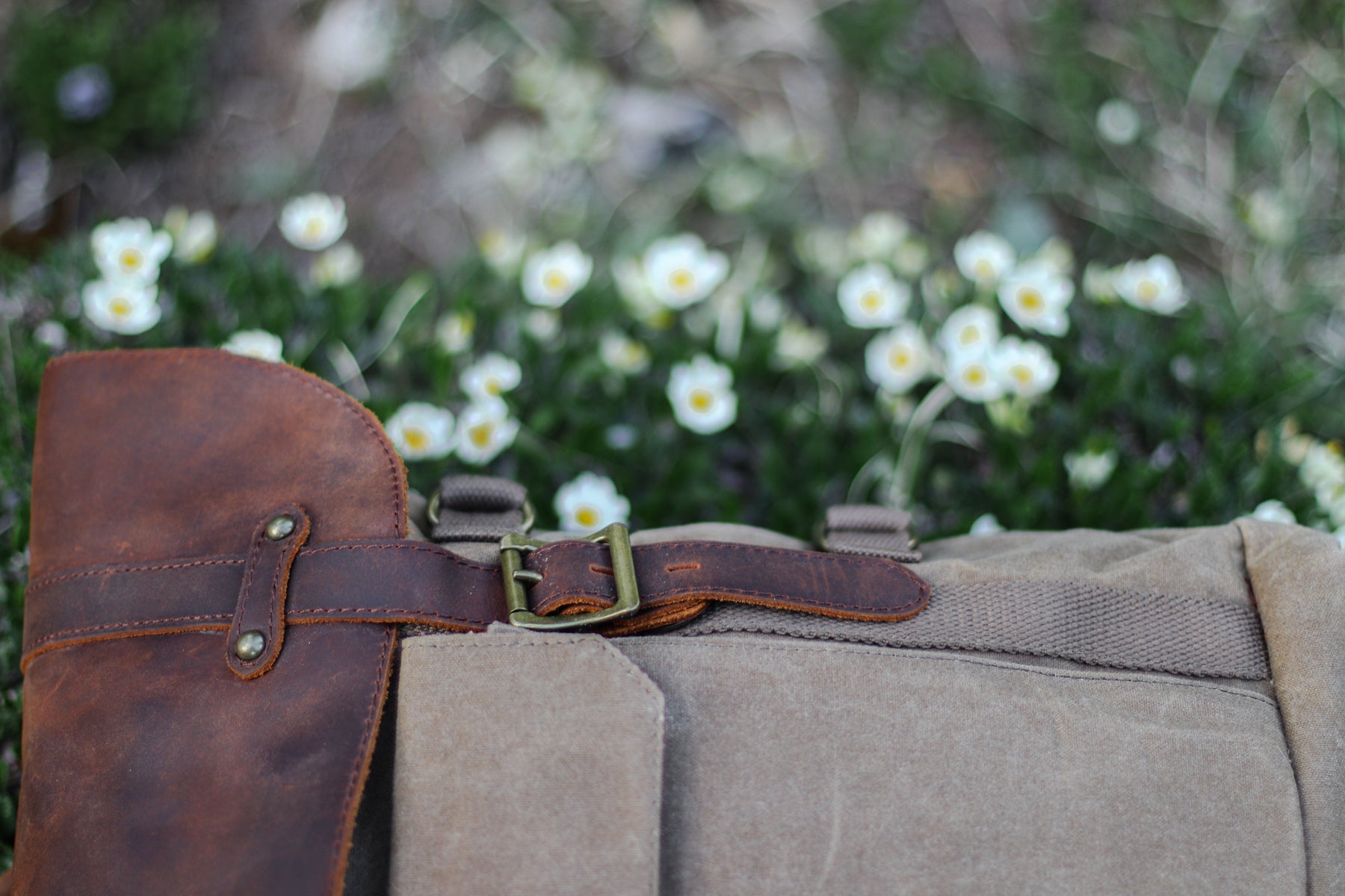 photography backpack