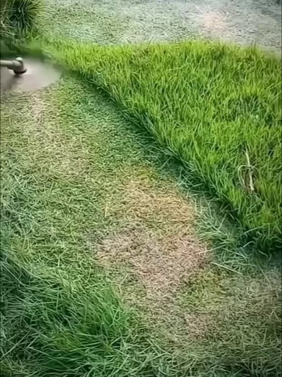 Kis lítium akkumulátoros acélszálas fűnyírófej fűnyíró tartozékok