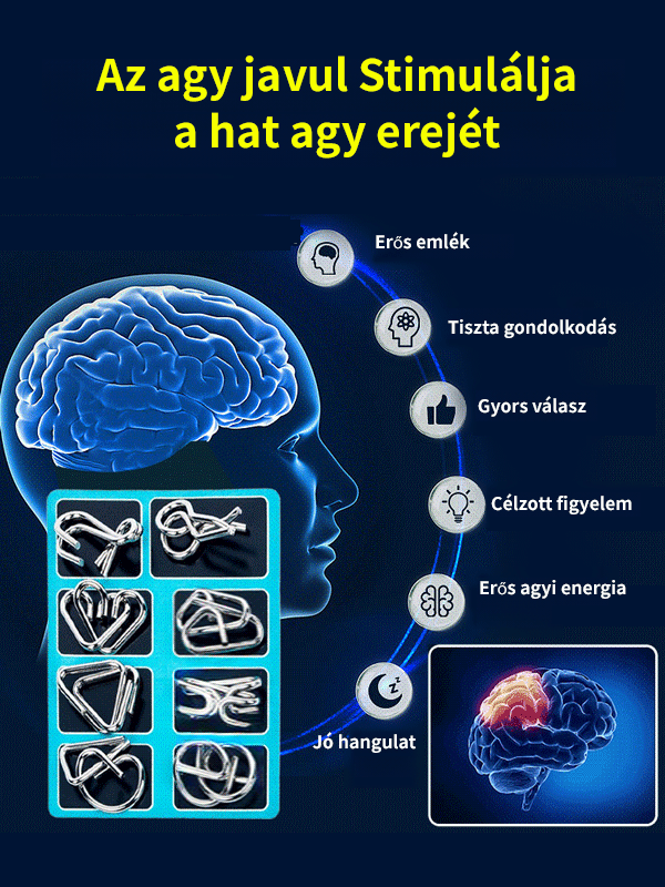 Intelligence Toys Nine Link Entriegelungsring