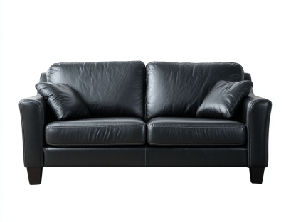 Sofa skórzana 165×85×88 cm – czarna – kompaktowa i elegancka do salonu-Hubuna