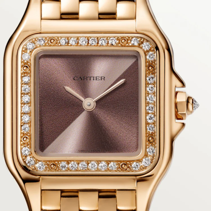 PANTH??RE DE CARTIER WATCH