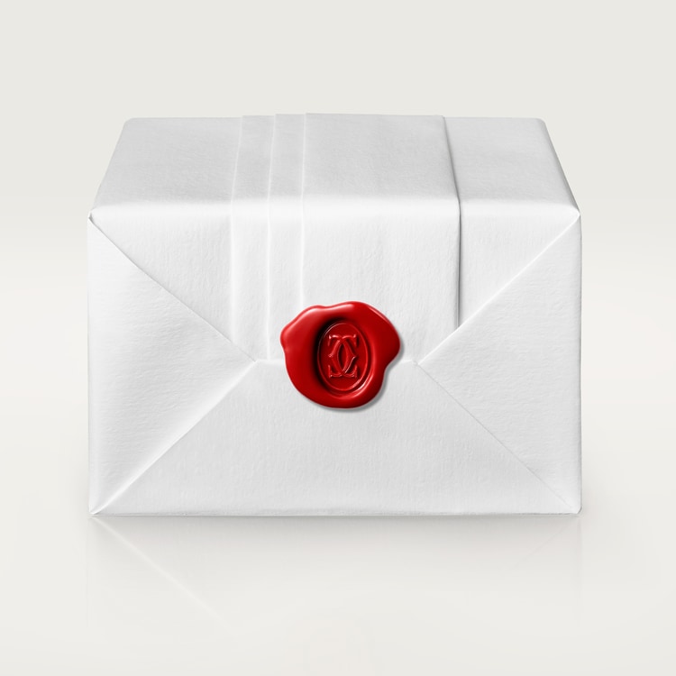 JUSTE UN CLOU NECKLACE