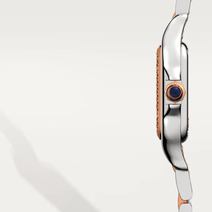 PANTH??RE DE CARTIER WATCH