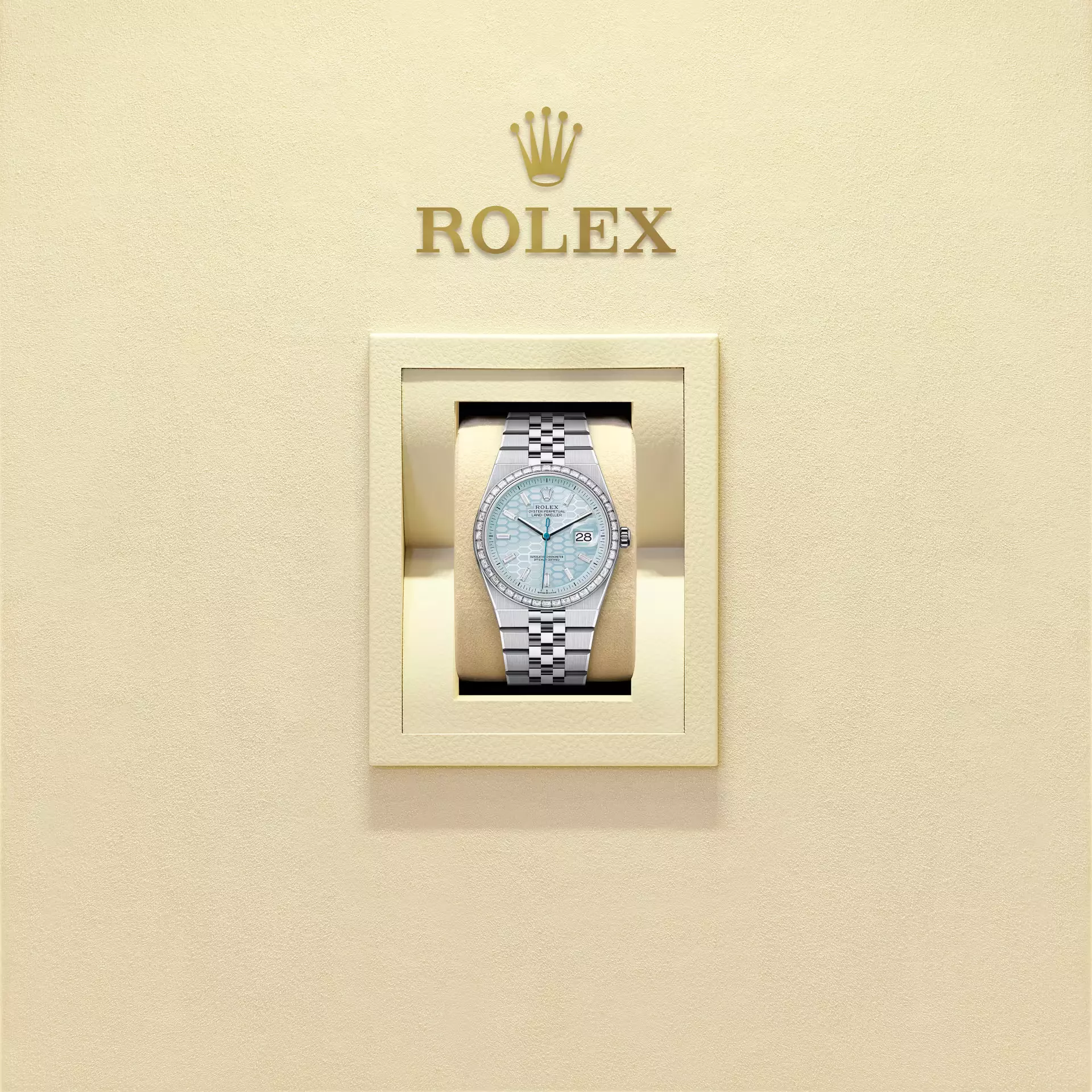 Land-Dweller 36, Oyster, 36 mm, platinum and diamonds  Reference 127286TBR