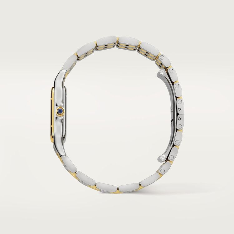 PANTHÈRE DE WATCH MEDIUM MODEL