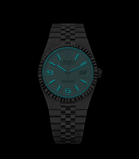 Land-Dweller 40, Oyster, 40 mm, platinum  Reference 127336