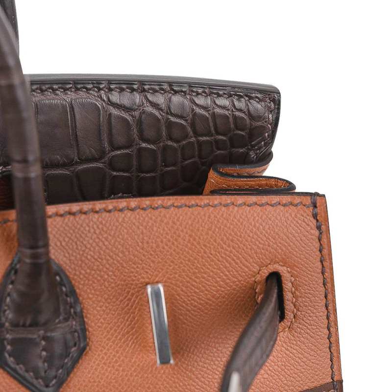 Birkin 20 Sellier Limited Edition Faubourg Bag with Palladium Hardware