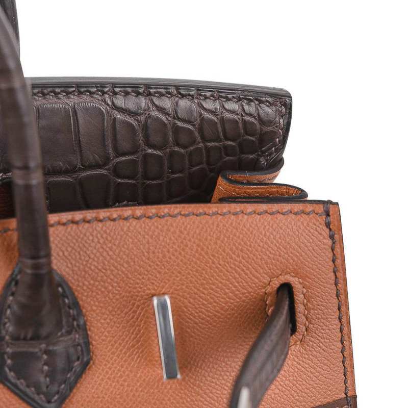 Birkin 20 Sellier Limited Edition Faubourg Bag with Palladium Hardware