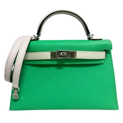 Herthtmes Vert Comics, Vert Fizz, and Gris Pale Epsom Tri-Color Mini Kelly 20 II Palladium Hardware