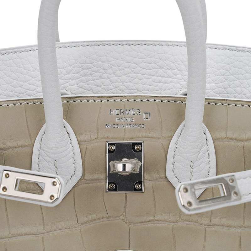 Limited Edition Birkin 20 Faubourg Sellier Bag Neige (Snow) White Matte Alligator
