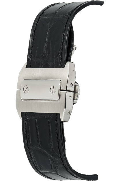 SANTOS 100 WATCH