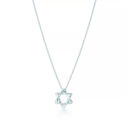Elsa Peretti庐 Star of David Pendant