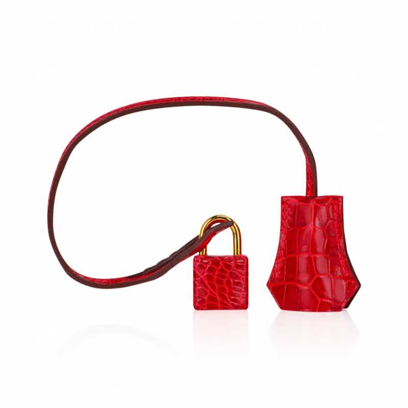 Birkin 35 Bag Braise Porosus Crocodile with Gold Hardware