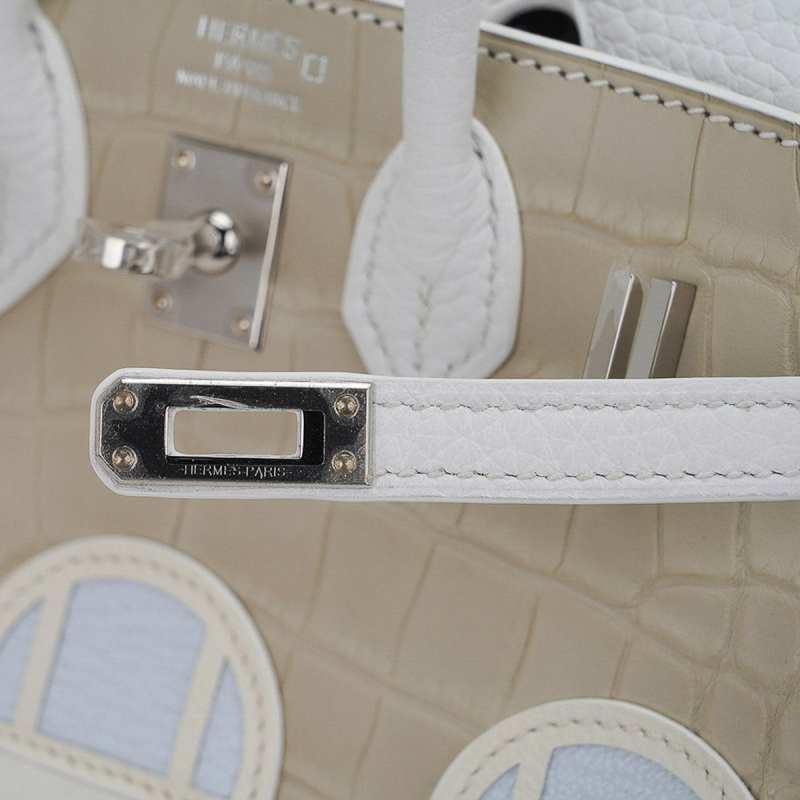 Limited Edition Birkin 20 Faubourg Sellier Bag Neige (Snow) White Matte Alligator