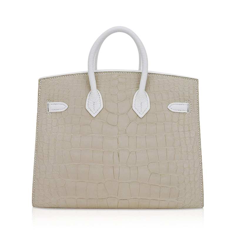 Limited Edition Birkin 20 Faubourg Sellier Bag Neige (Snow) White Matte Alligator
