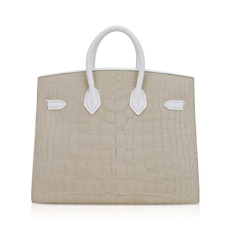 Limited Edition Birkin 20 Faubourg Sellier Bag Neige (Snow) White Matte Alligator