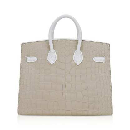 Limited Edition Birkin 20 Faubourg Sellier Bag Neige (Snow) White Matte Alligator