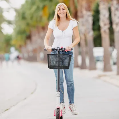 Plogco Iron Mesh Bike Basket
