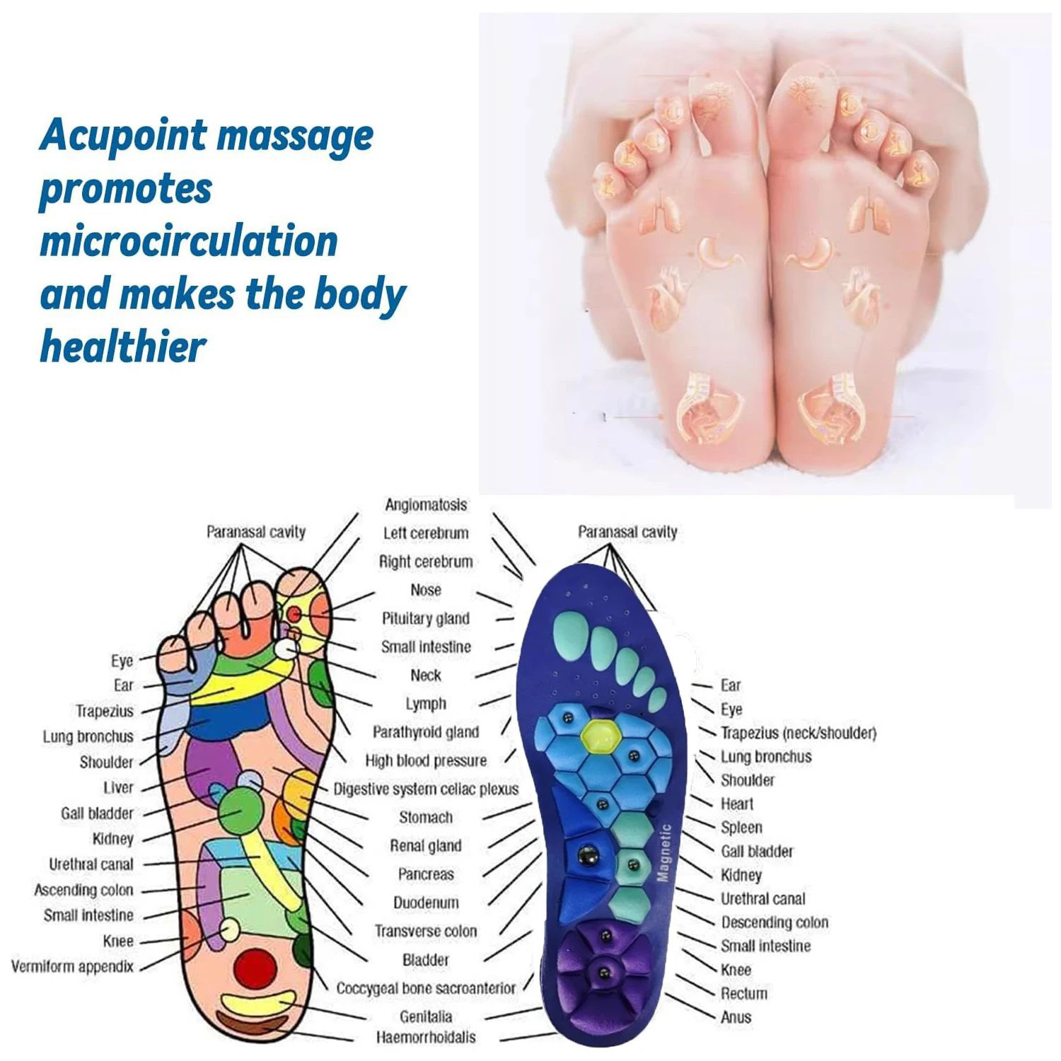 👩‍⚕️ Magnetic Acupressure Insoles