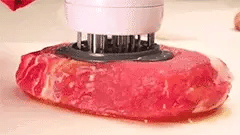 Meat Injector