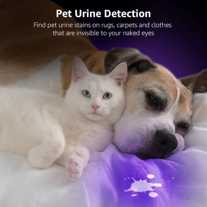 ✨Home Essentials🛡️LED 395nm Flashlight Detector for Dogs, Urine Stains, Bedbugs, and Scorpions