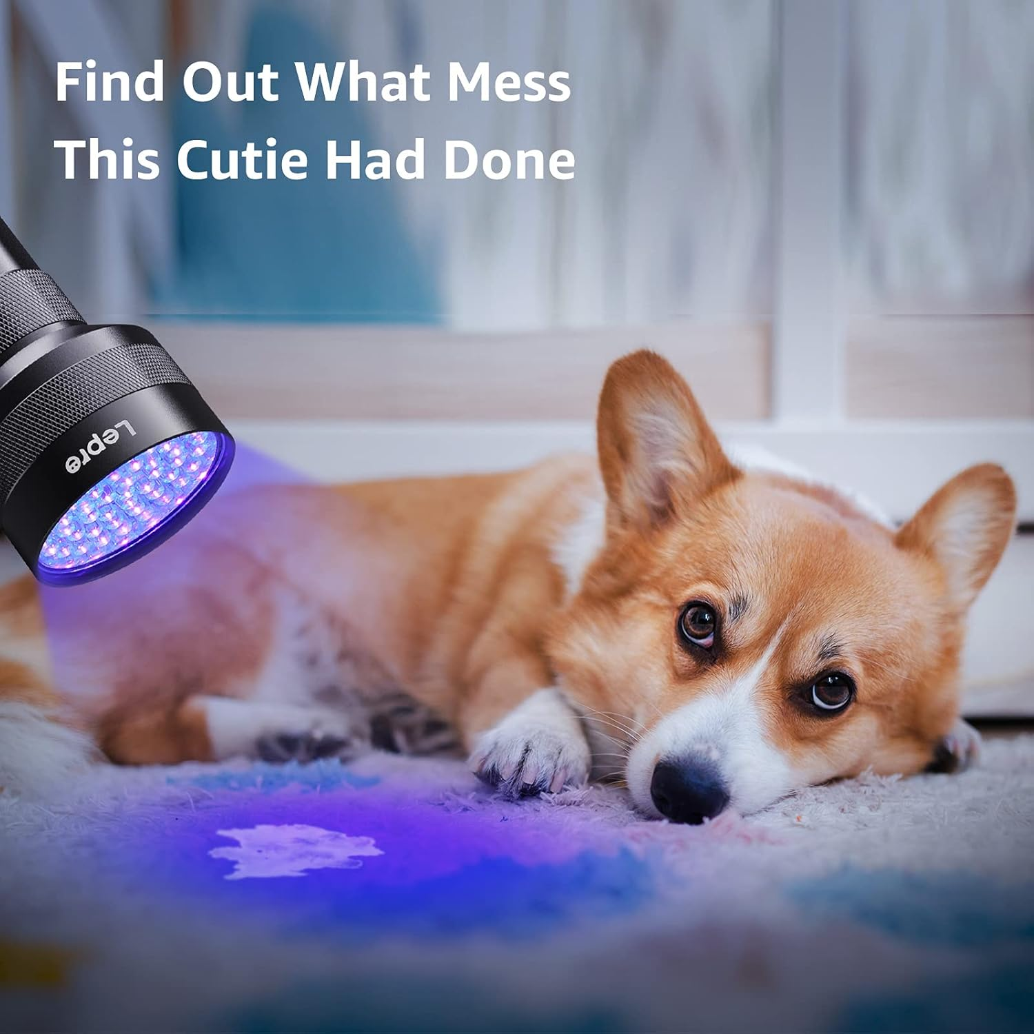 ✨Home Essentials🛡️LED 395nm Flashlight Detector for Dogs, Urine Stains, Bedbugs, and Scorpions