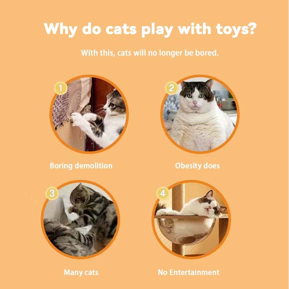 🔥50%OFF🔥⚡Little Yellow Duck Pet Feeder