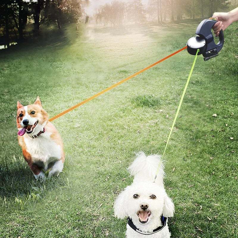 Multi-functional Dog Walking Leash