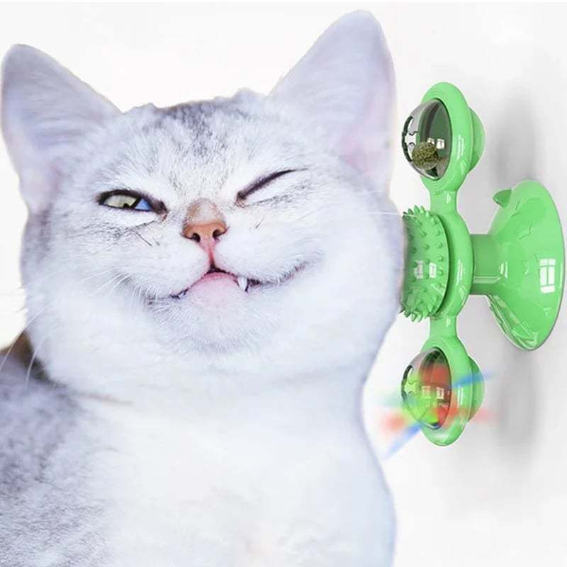 🔥 Interactive Windmill Cat Toys with Catnip (include Glowing Ball)