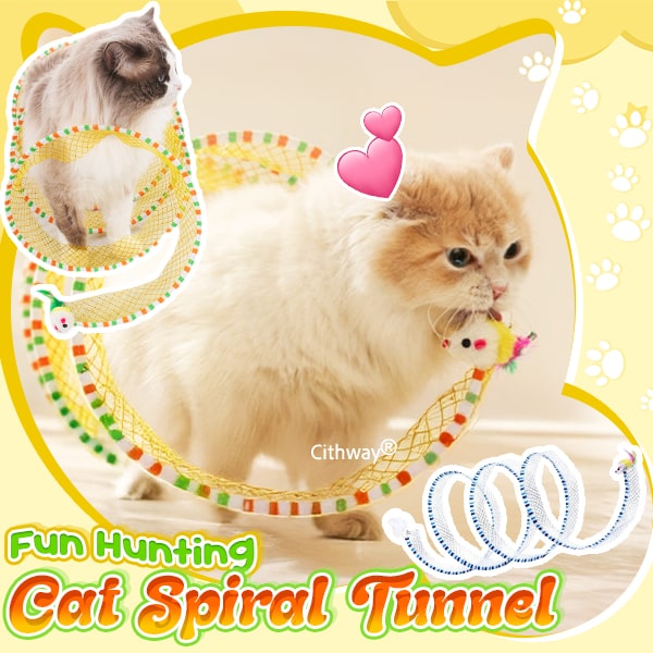 😻✨ Self-play Cat Hunting Spiral Tunnel Toy