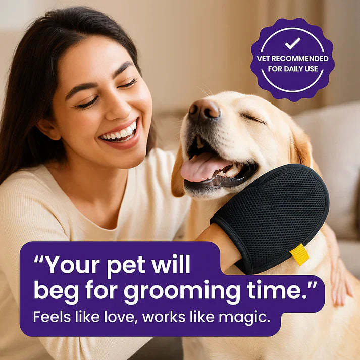 🔥Buy 1 get 1 free🔥👍Pet Hair Removal Gloves