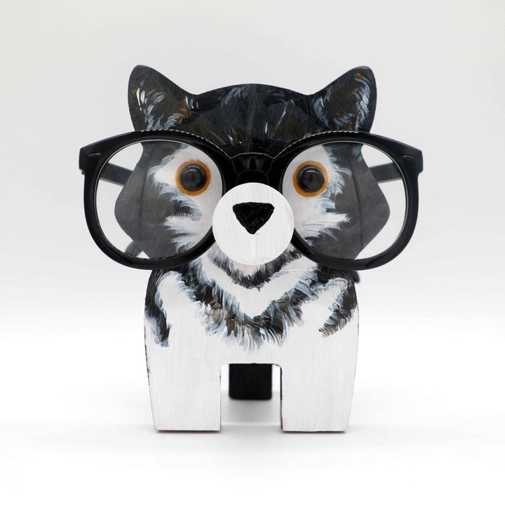 Pet glasses storage rack