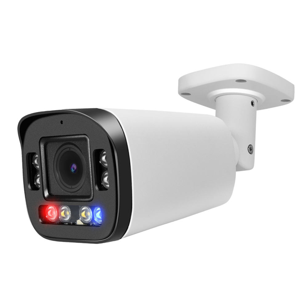 PoE IP Cameras