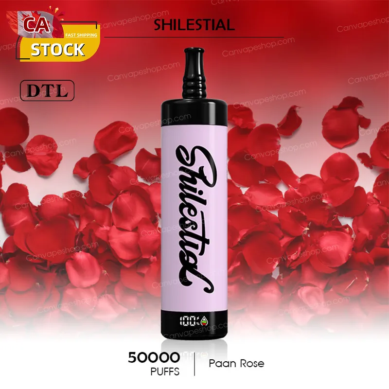 Paan Rose - SHILESTIAL - 50000puffs-canvapeshop-Paan Rose - SHILESTIAL - 50000puffs