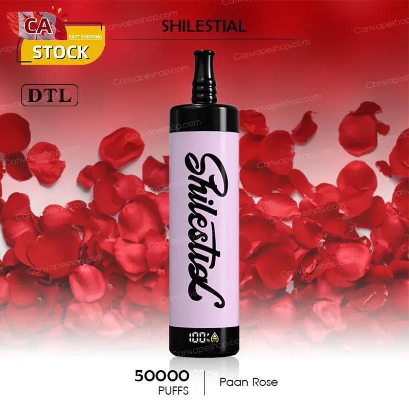 Paan Rose - SHILESTIAL - 50000puffs-canvapeshop-Paan Rose - SHILESTIAL - 50000puffs