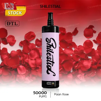 Paan Rose - SHILESTIAL - 50000puffs-canvapeshop-Paan Rose - SHILESTIAL - 50000puffs